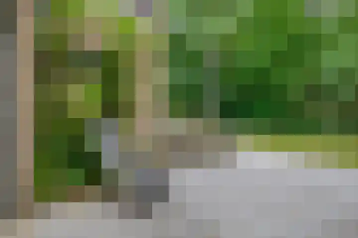 Reeboklaan 8 Wageningen thumbnail 24