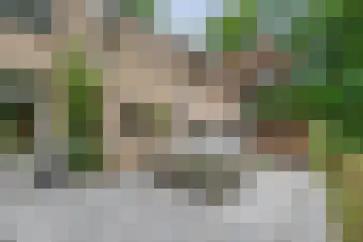Reeboklaan 8 Wageningen thumbnail 25
