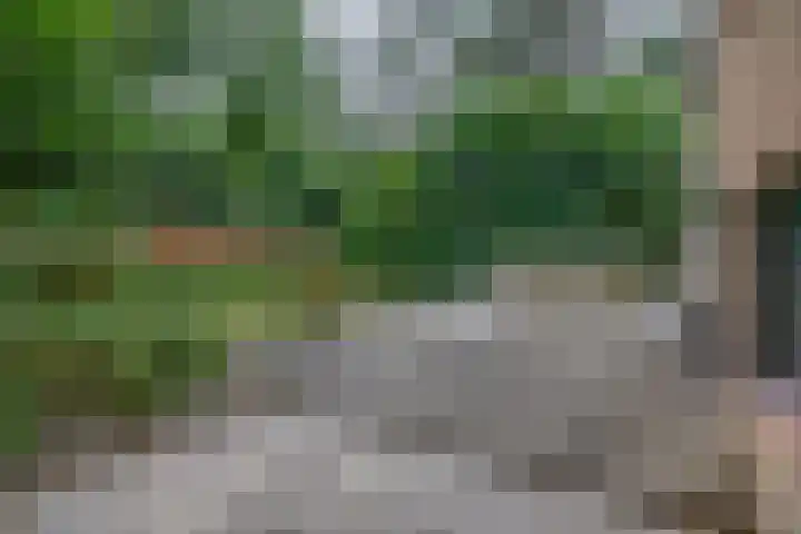 Reeboklaan 8 Wageningen thumbnail 26