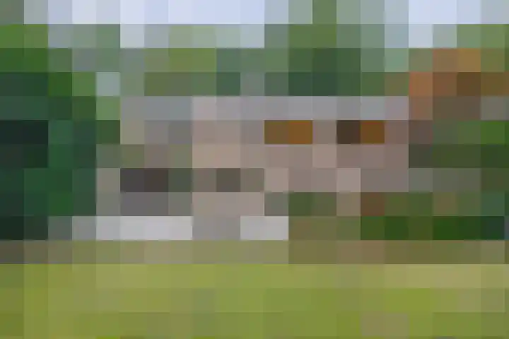 Reeboklaan 8 Wageningen thumbnail 27