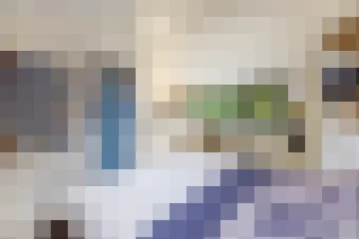 Reeboklaan 8 Wageningen thumbnail 30