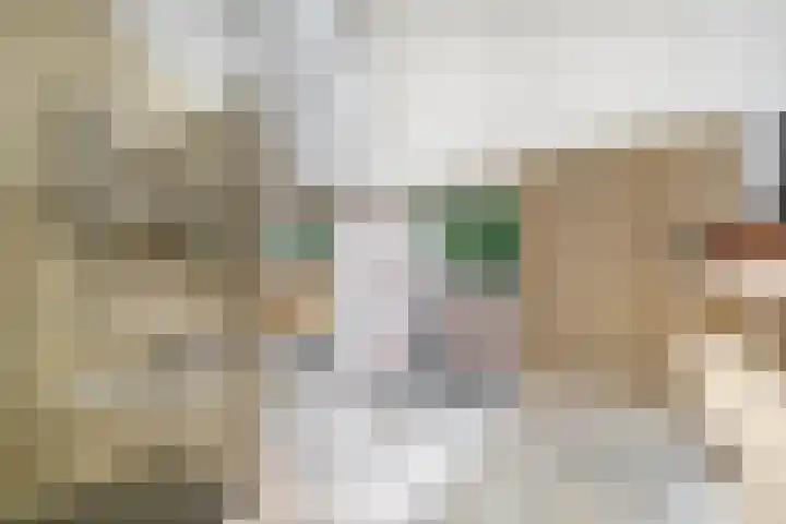 Reeboklaan 8 Wageningen thumbnail 31