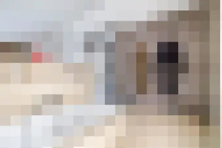Reeboklaan 8 Wageningen thumbnail 32
