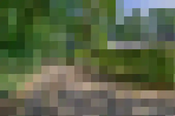 Reeboklaan 8 Wageningen thumbnail 37