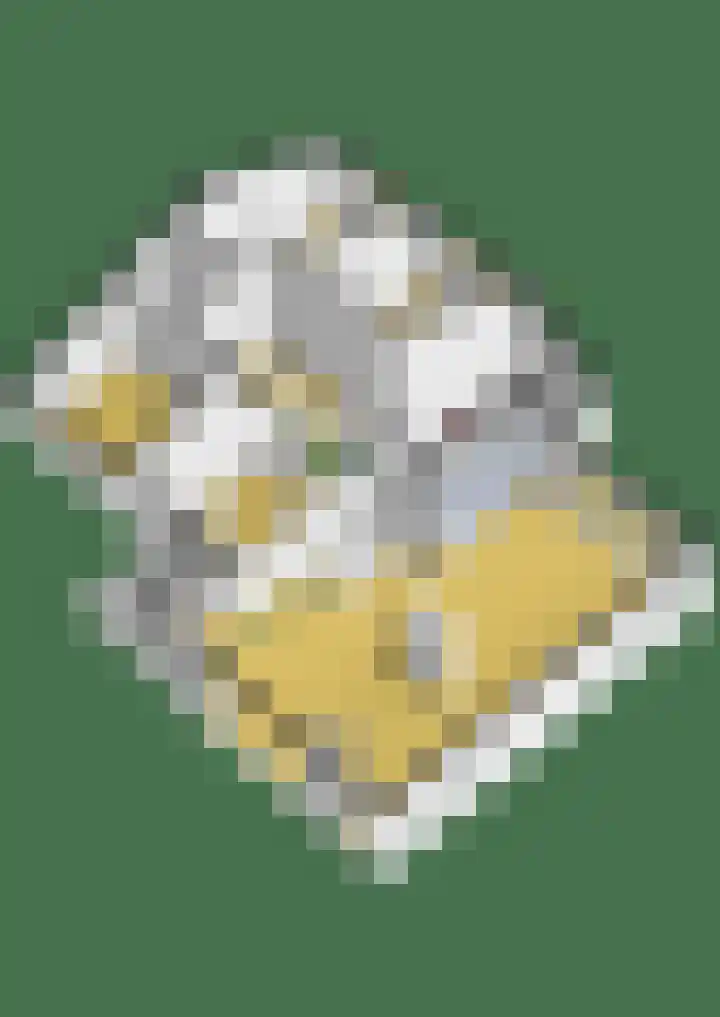 Reeboklaan 8 Wageningen thumbnail 39