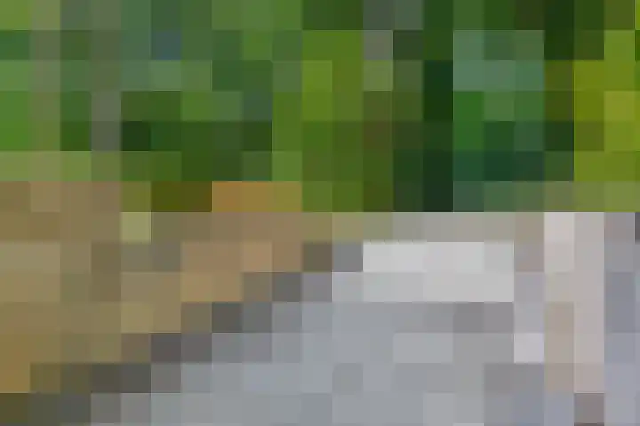 Reeboklaan 8 Wageningen thumbnail 6