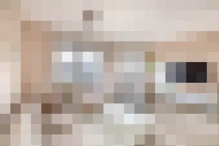 Reede 1 Brielle thumbnail 13
