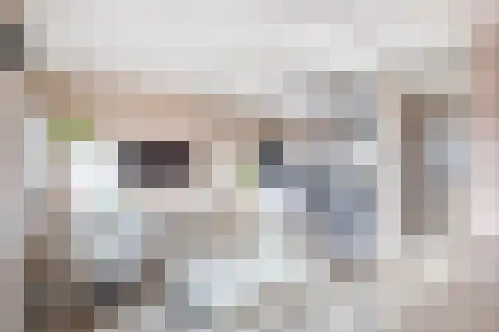 Reede 1 Brielle thumbnail 14
