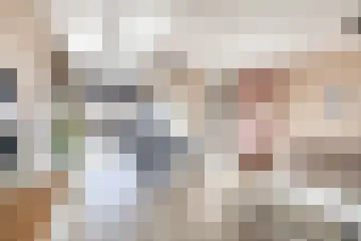 Reede 1 Brielle thumbnail 15