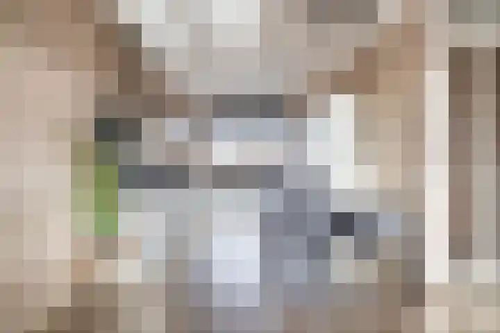 Reede 1 Brielle thumbnail 16