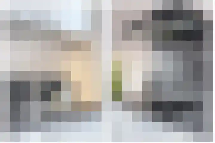 Reede 1 Brielle thumbnail 19