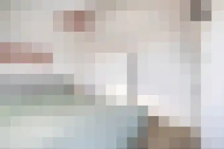 Reede 1 Brielle thumbnail 22