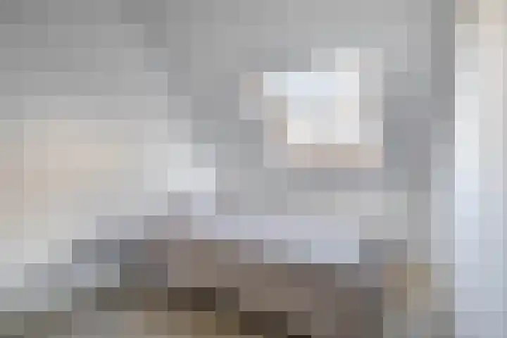 Reede 1 Brielle thumbnail 23