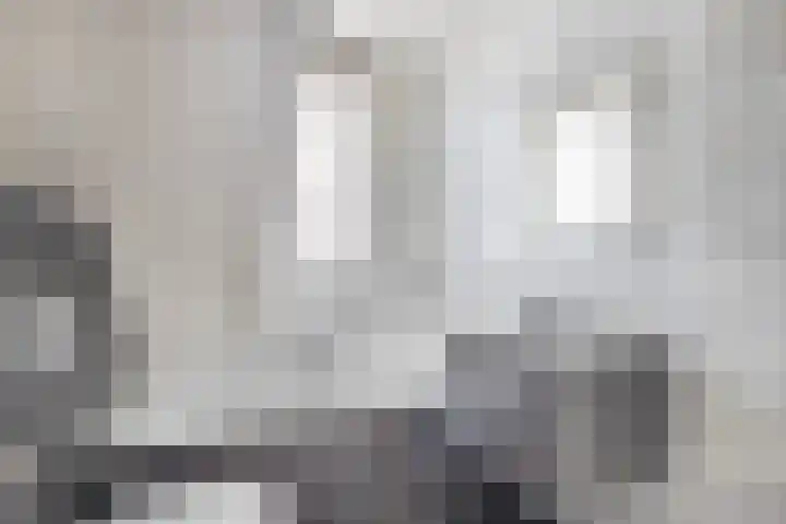 Reede 1 Brielle thumbnail 25