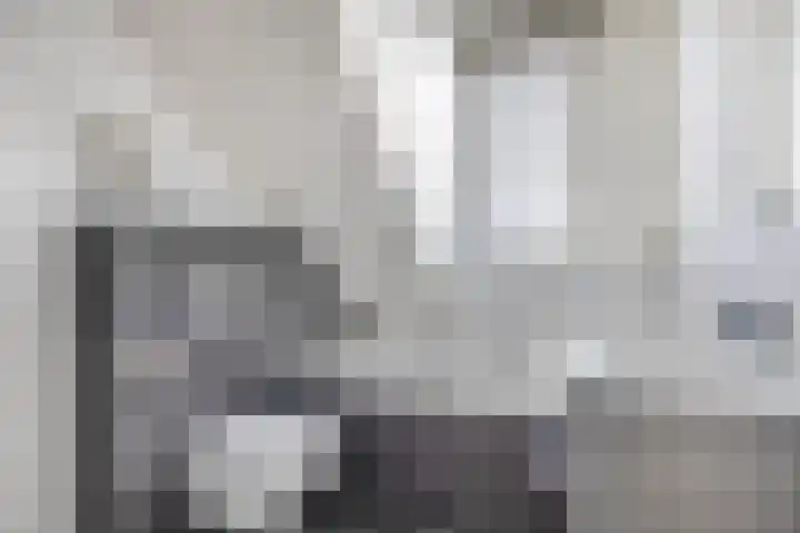 Reede 1 Brielle thumbnail 26