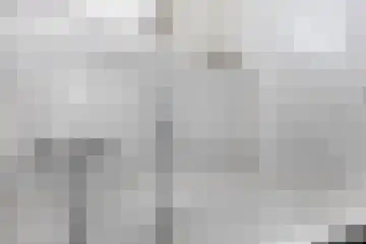 Reede 1 Brielle thumbnail 27