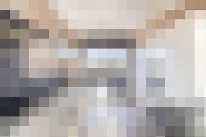Reede 1 Brielle foto 3