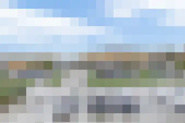 Reede 1 Brielle thumbnail 30