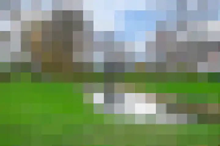 Reede 1 Brielle thumbnail 31