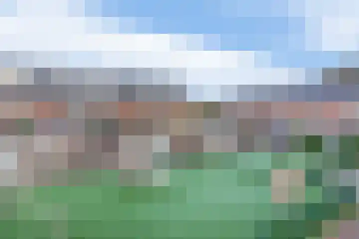 Reede 1 Brielle thumbnail 32
