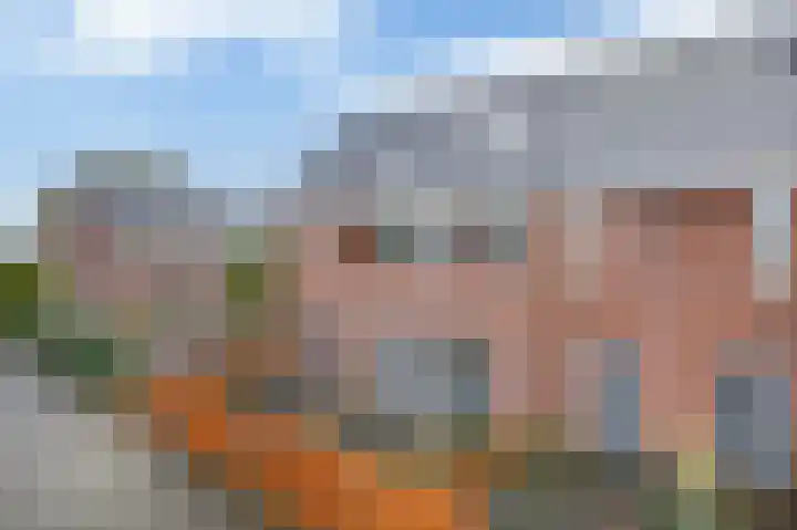 Reede 1 Brielle thumbnail 6