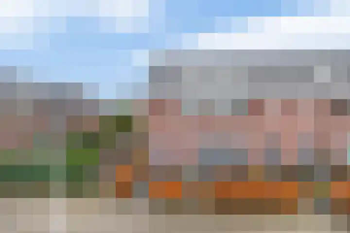 Reede 1 Brielle thumbnail 7
