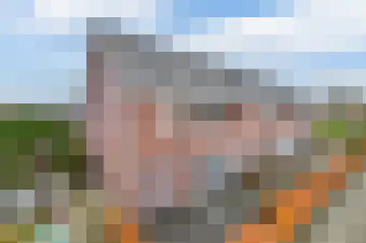 Reede 1 Brielle thumbnail 8