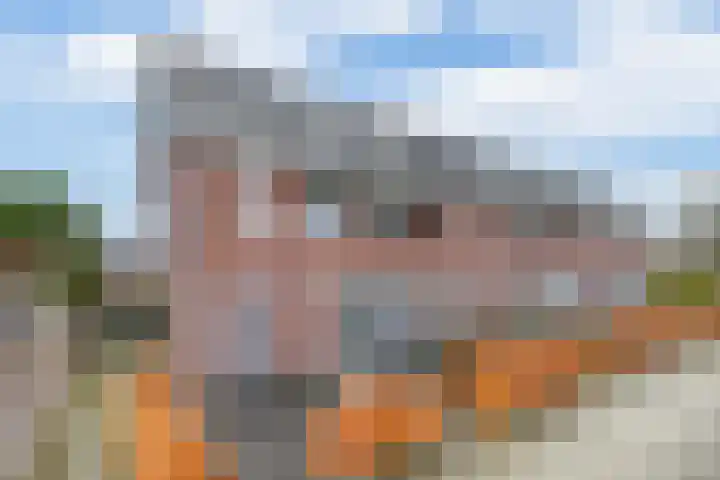 Reede 1 Brielle thumbnail 9