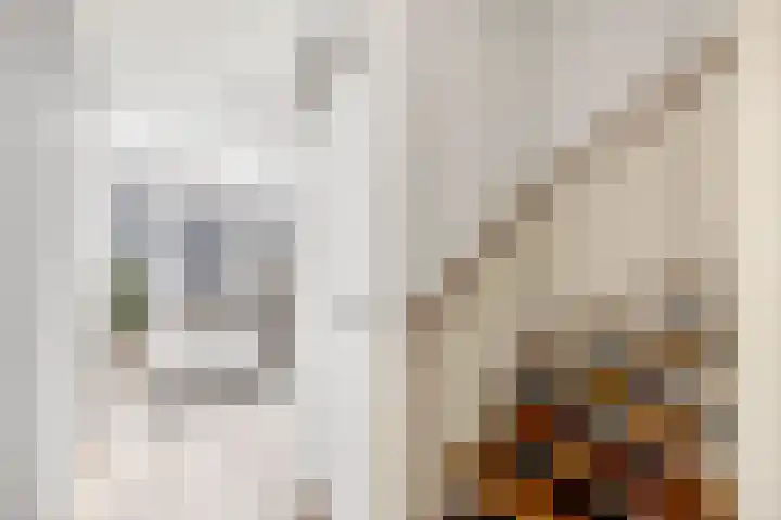 Reede 113 Brielle thumbnail 14