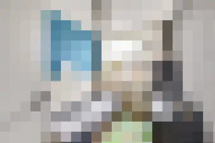 Reede 113 Brielle thumbnail 17