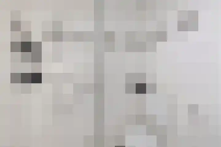 Reede 113 Brielle thumbnail 18