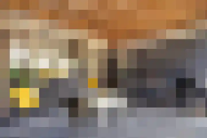 Reede 113 Brielle thumbnail 22