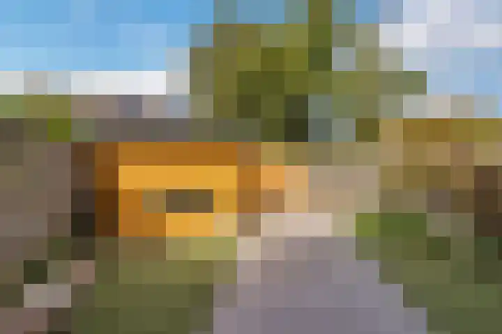 Reede 113 Brielle thumbnail 23