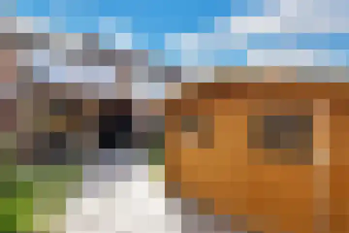 Reede 113 Brielle thumbnail 24