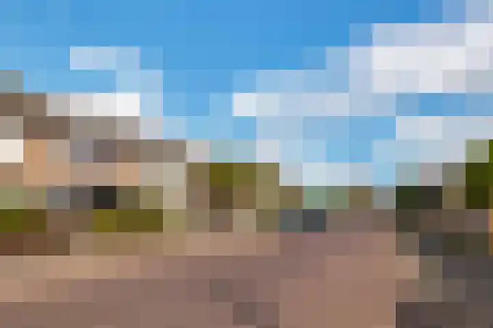 Reede 113 Brielle thumbnail 25