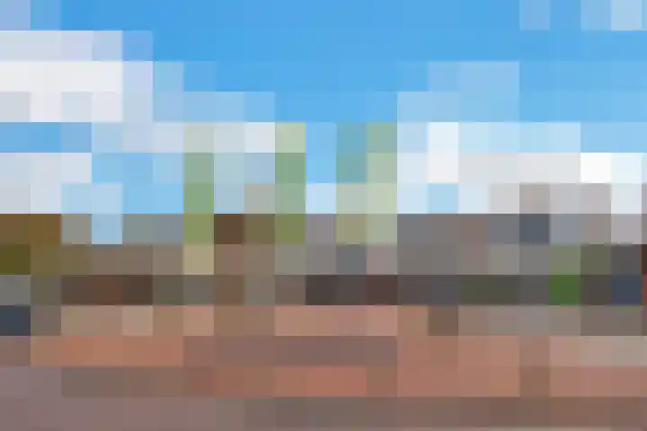 Reede 113 Brielle thumbnail 26