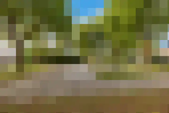 Reede 113 Brielle thumbnail 27