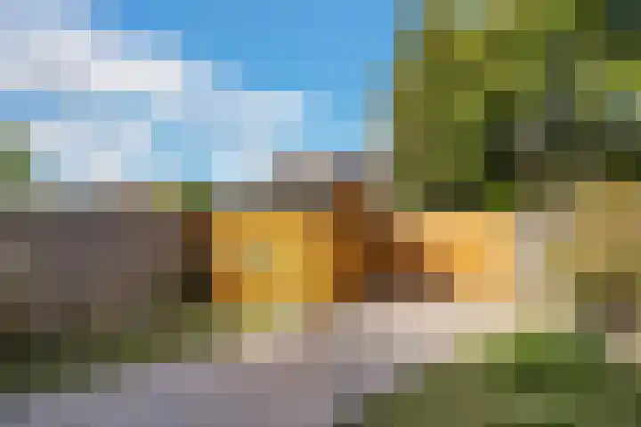 Reede 113 Brielle thumbnail 5