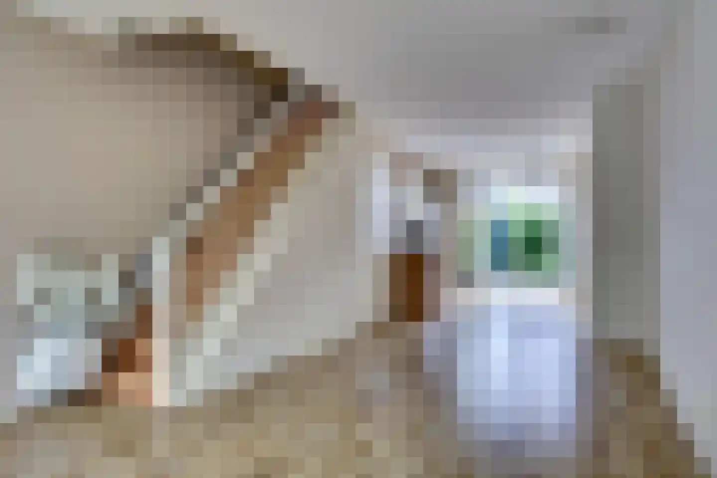 Reede 15 Geervliet thumbnail 10