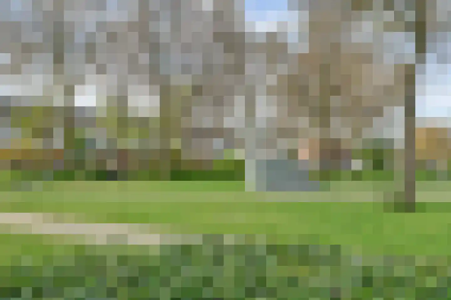 Reede 15 Geervliet thumbnail 30
