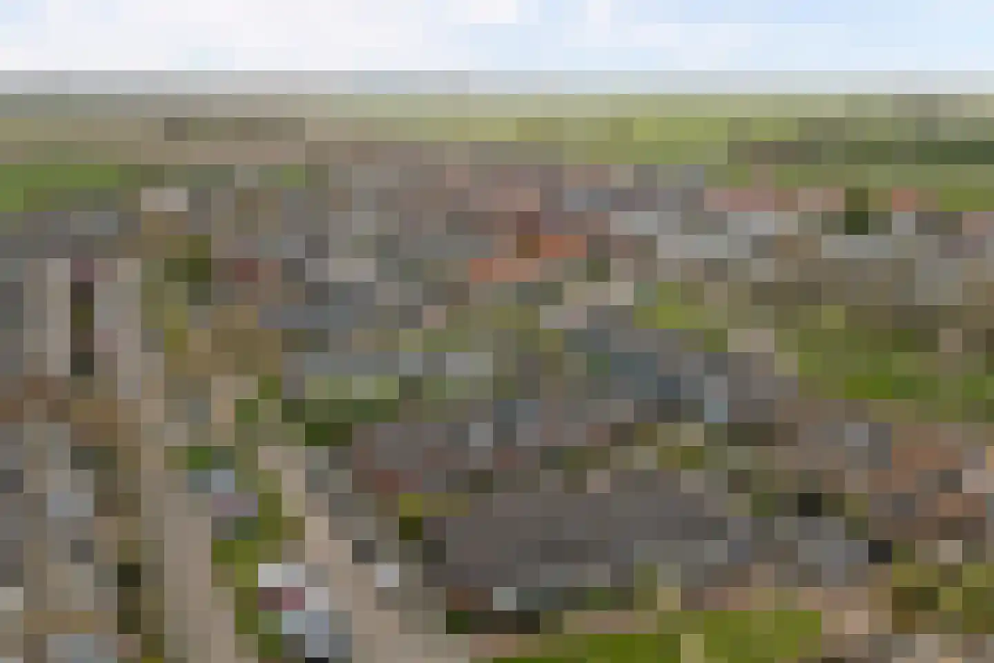 Reede 15 Geervliet thumbnail 34