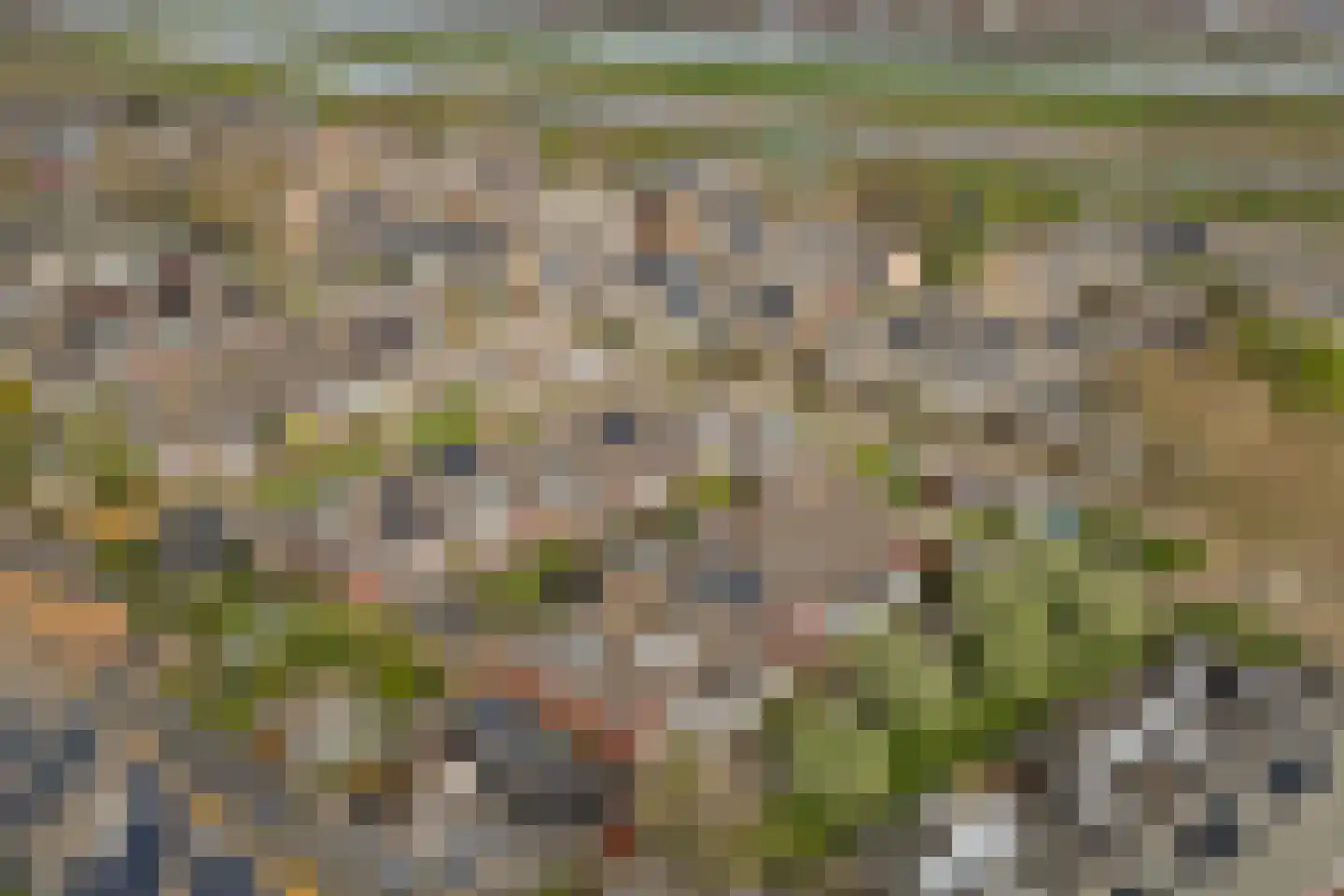 Reede 15 Geervliet thumbnail 35