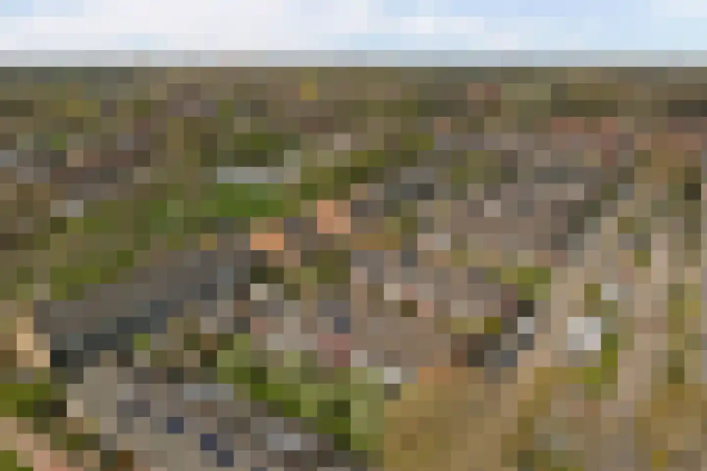 Reede 15 Geervliet thumbnail 36