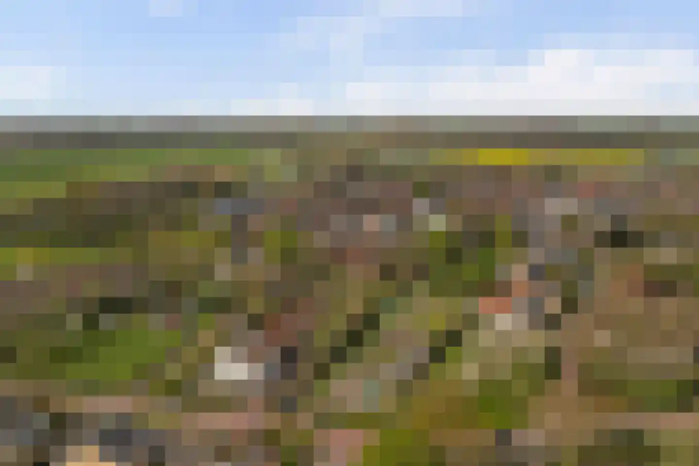 Reede 15 Geervliet thumbnail 37