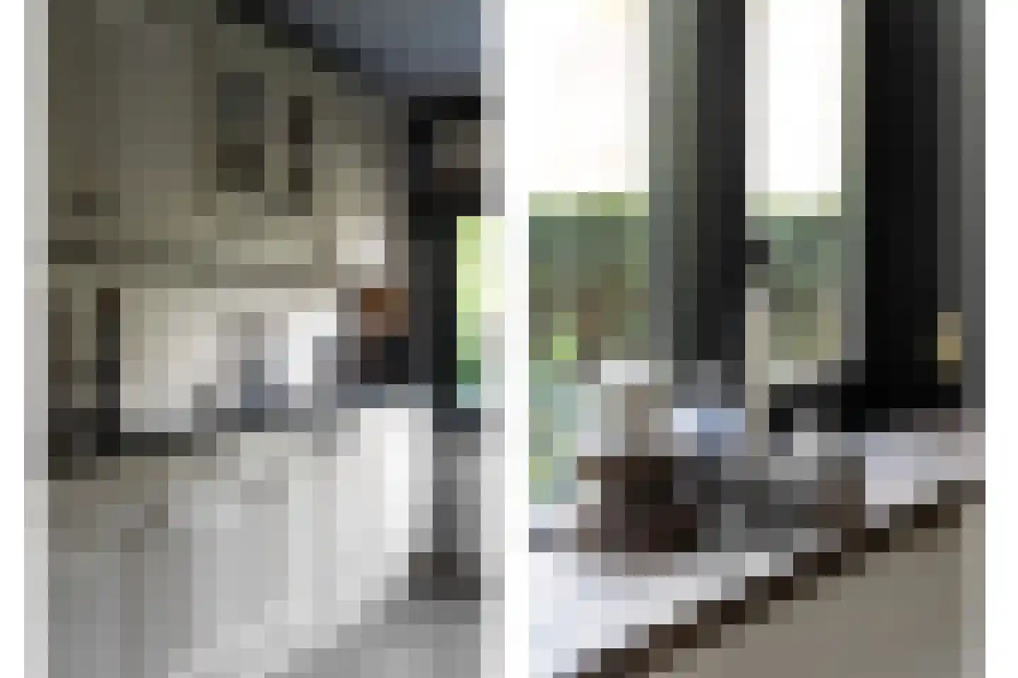 Reederijstraat 21 Alblasserdam thumbnail 14