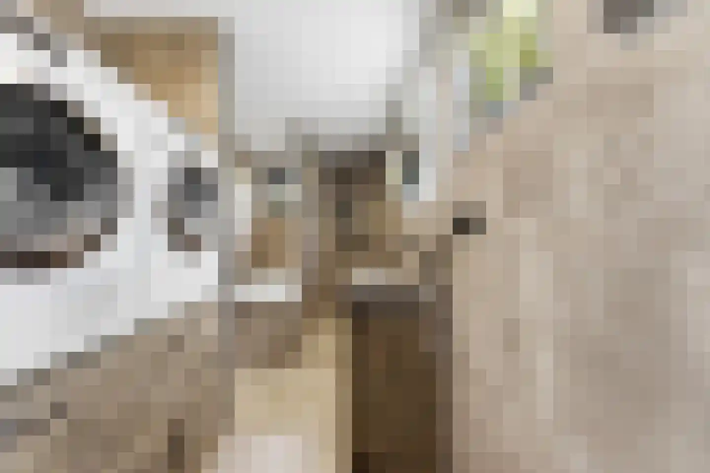 Reederijstraat 21 Alblasserdam thumbnail 17