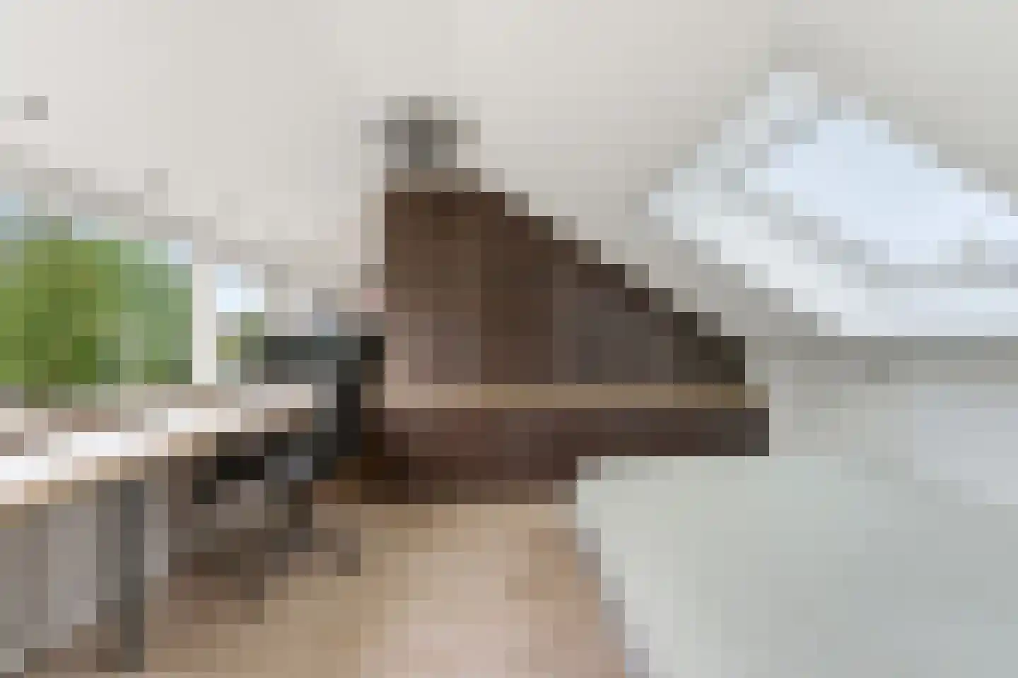 Reederijstraat 21 Alblasserdam thumbnail 31