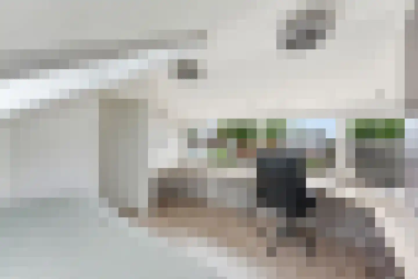 Reederijstraat 21 Alblasserdam thumbnail 32