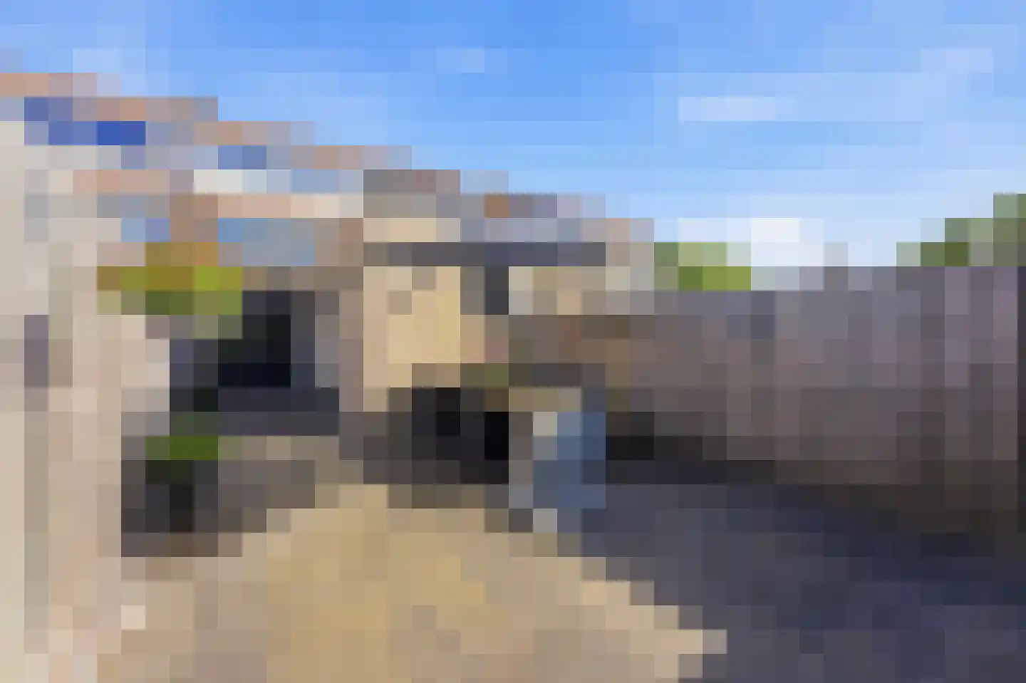 Reederijstraat 21 Alblasserdam thumbnail 34