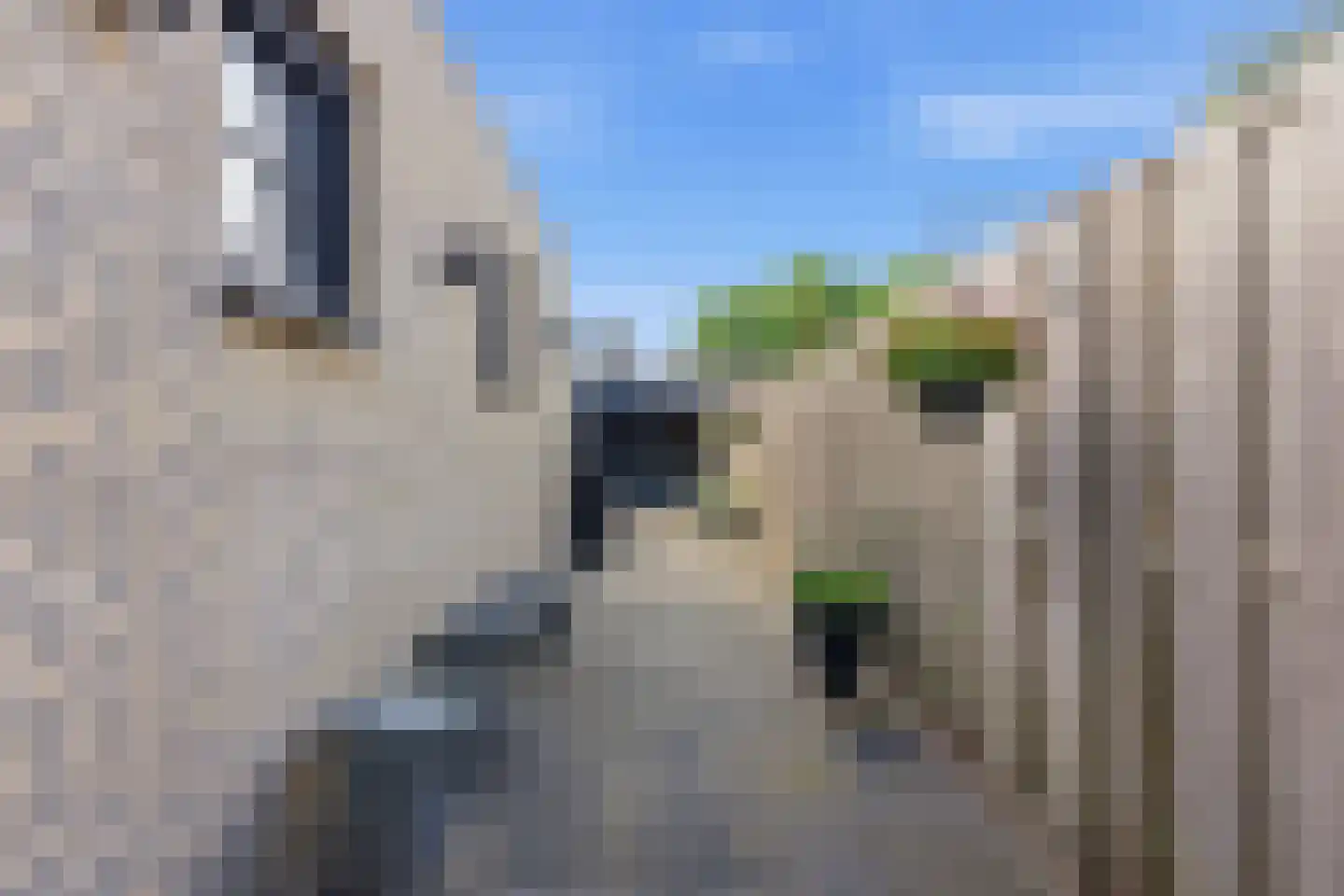 Reederijstraat 21 Alblasserdam thumbnail 36